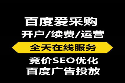 百度竞价赚钱秘诀：实战案例分析